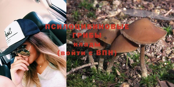 экстази Арсеньев