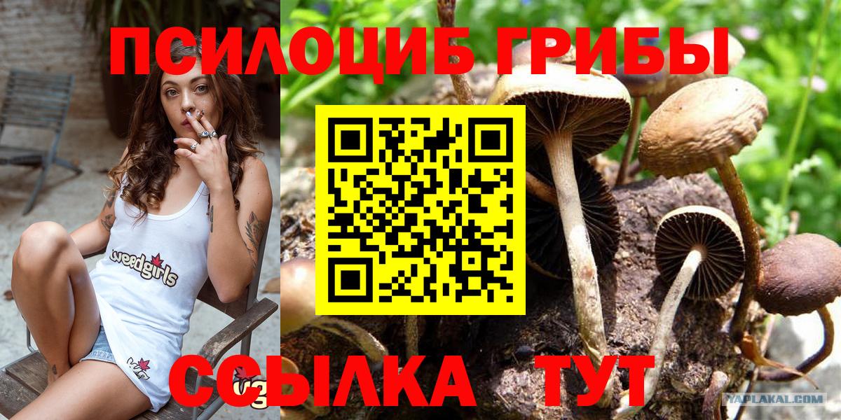 Псилоцибиновые грибы GOLDEN TEACHER Саров